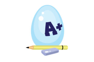 School Easter Egg: A Practical Designer’s Review